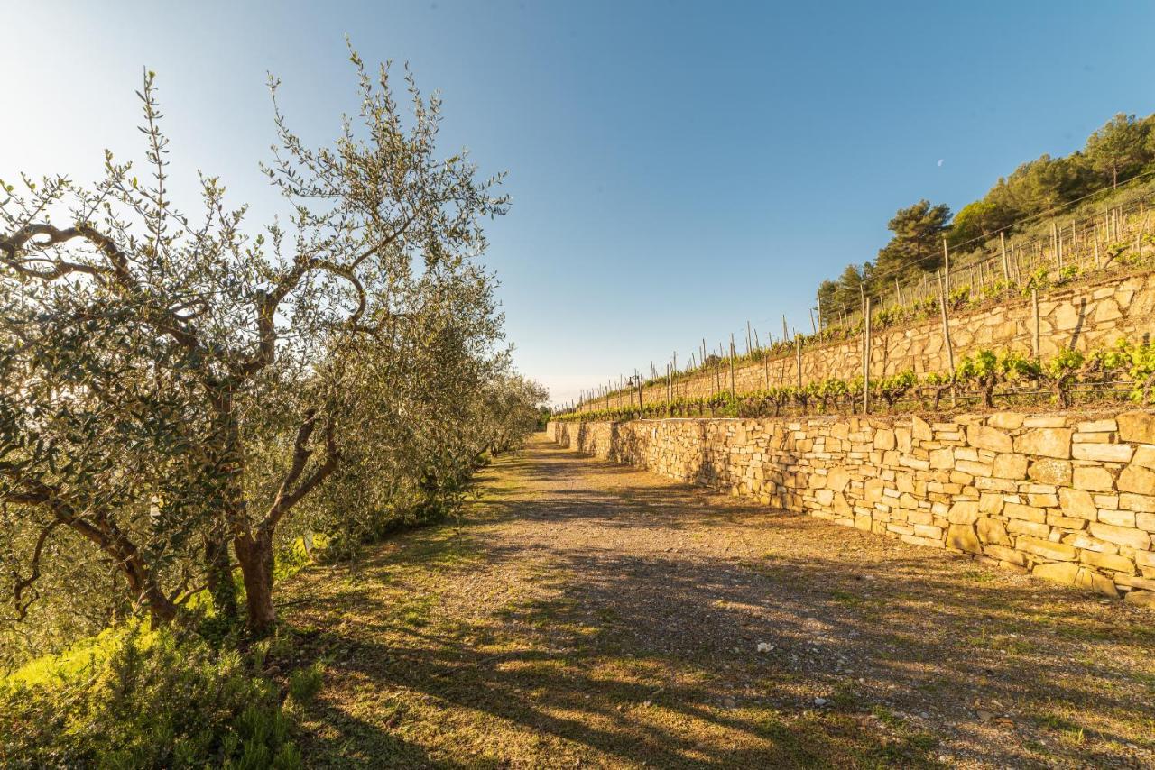Casetta Mari Immersa In Un Vigneto Dolceacqua Εξωτερικό φωτογραφία
