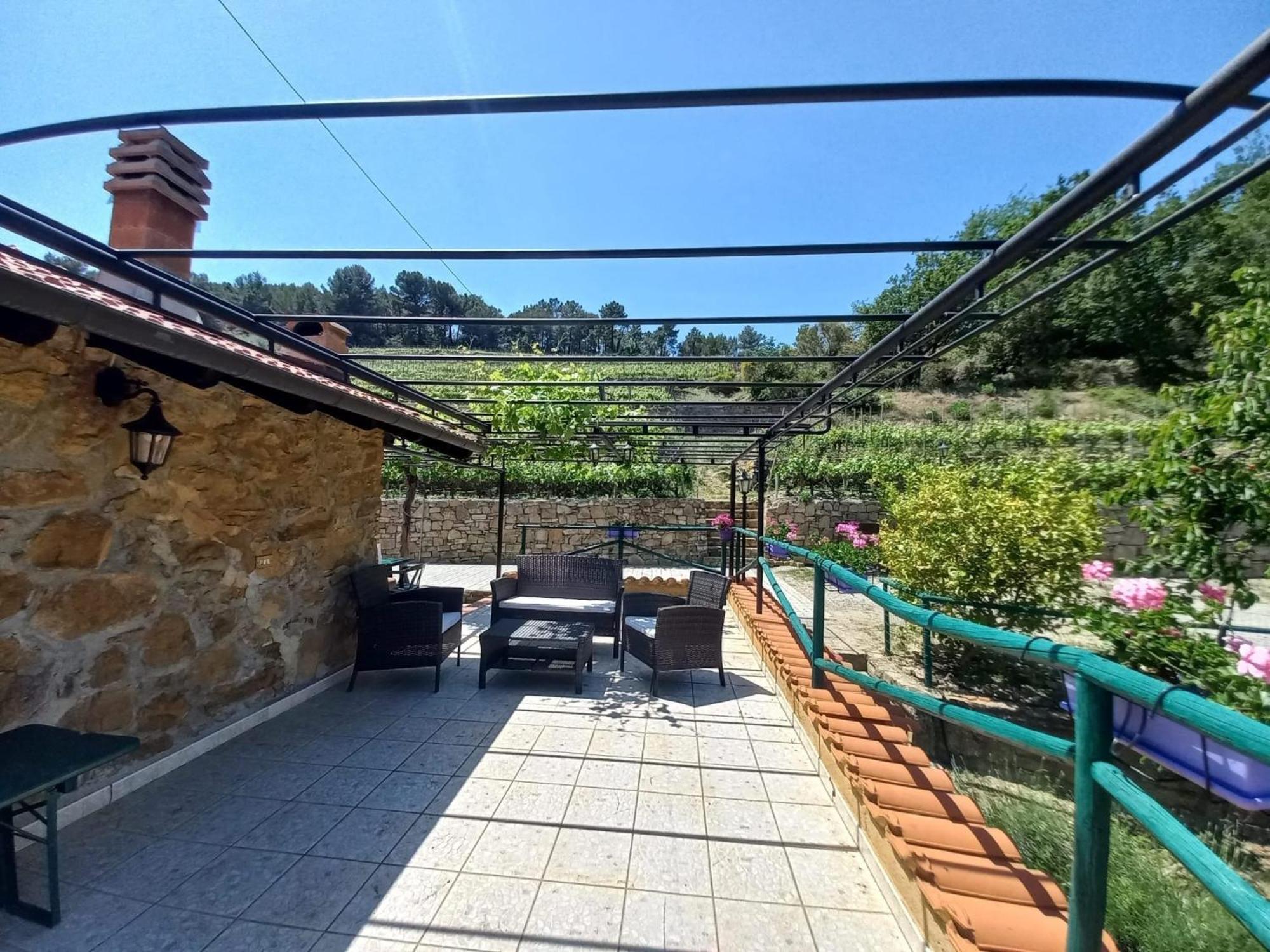 Casetta Mari Immersa In Un Vigneto Dolceacqua Εξωτερικό φωτογραφία