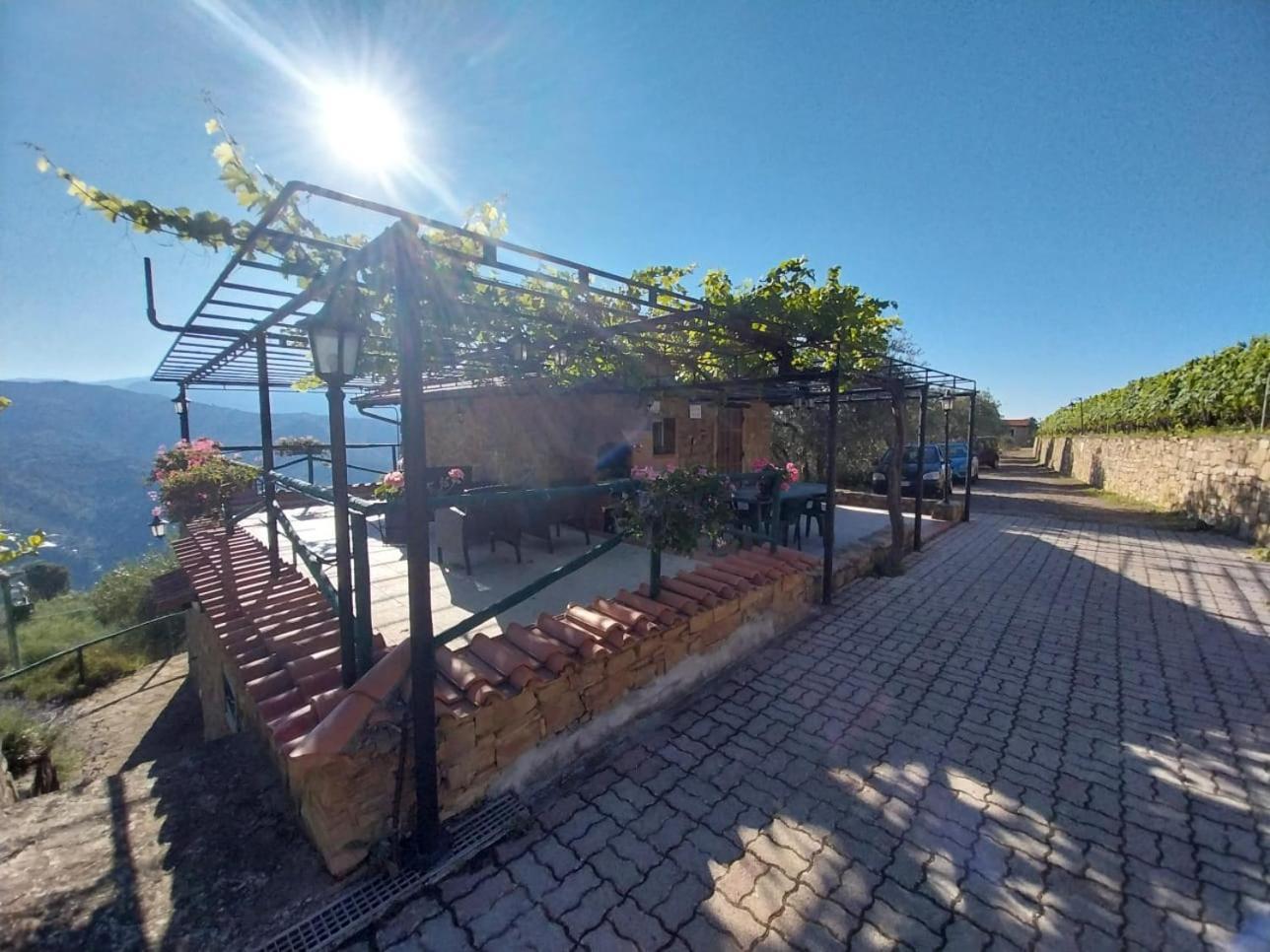 Casetta Mari Immersa In Un Vigneto Dolceacqua Εξωτερικό φωτογραφία